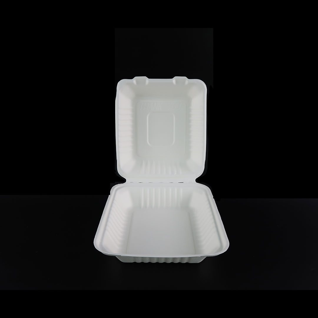 B036—8×8-inch-Bagasse-Container-4